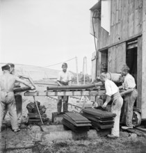 Peat mining in Seeland, Ins; 1942