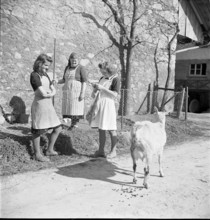 Agriculture