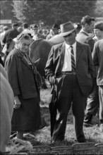 Horse market of ChaindonReconvilier, 1969