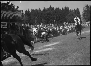 50th Marché Concours Saignelégier, 1953