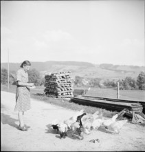 Young Swiss woman abroad feeding chickens; 1944