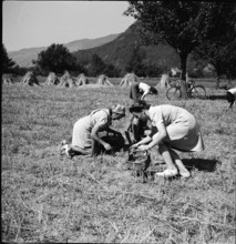 gleaning; gleaning; 1945