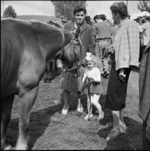 Horse market of ChaindonReconvilier, 1952