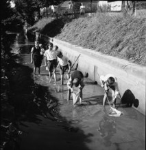 Boys catching fish with a net, Aarau 1944