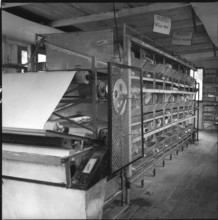Battery cage, experimental farm of the ETH, Kemptthal 1958