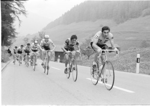 Tour de Suisse 1974: winner Eddy Merckx