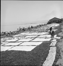 Washing at Lake Constance, 1944