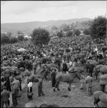 Horse market of ChaindonReconvilier, 1952