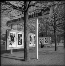Exhibition The Best Posters, 1950