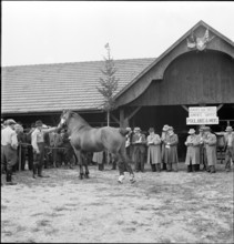 42nd MarchéConcours Saignelégier, demonstration, 1945