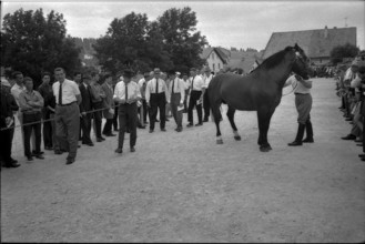 62nd Marché Concours Saignelégier, jury, 1965