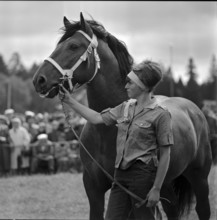 62nd MarchéConcours Saignelégier, Aubry with stallion, 1965