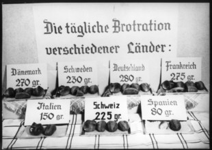 daily bread ration in various European countries