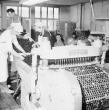 Cherry pitting machine, 1958