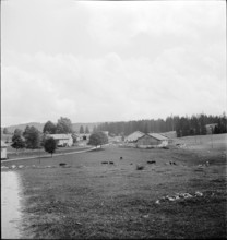 Jura pasture with farmhouses, 1943