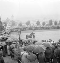40th MarchéConcours Saignelégier, demonstration, 1943
