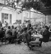 Horse market of ChaindonReconvilier, inn, 1941