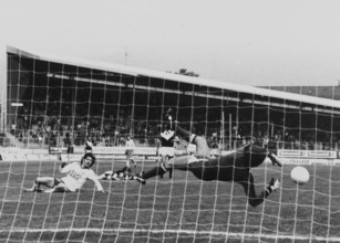 NLA Championship 1979/80: FCZ  Lugano; Zwicker, goalkeeper Wagner