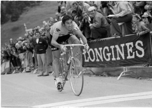 Tour de Suisse 1974: Overall winner Eddy Merckx
