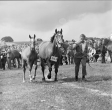 61st Marché Concours Saignelégier, 1964