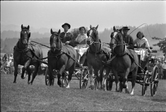 66th Marché Concours Saignelégier, 1969