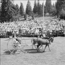 55th MarchéConcours Saignelégier, parade, 1958