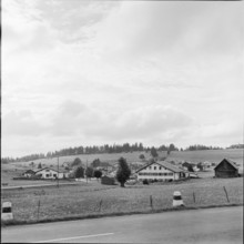 View of the FranchesMontagnes near Saignelégier, 1958