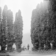 Woman at a cemetery in ZurichHöngg, 1953