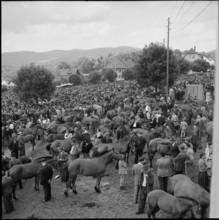 Horse market of ChaindonReconvilier, 1952