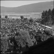 Horse market of ChaindonReconvilier, 1954