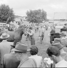 55th MarchéConcours Saignelégier, demonstration, 1958