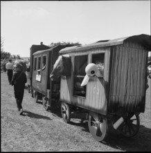 50th MarchéConcours Saignelégier, Zügli with animals, 1953