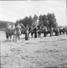 58th MarchéConcours Saignelégier, demonstration, 1961