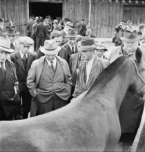 42nd MarchéConcours Saignelégier, horse market, 1945
