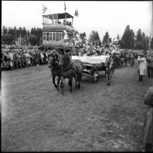 52nd Marché Concours Saignelégier, 1955