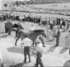 55th MarchéConcours Saignelégier, demonstration, 1958