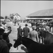 50th MarchéConcours Saignelégier, demonstration, 1953