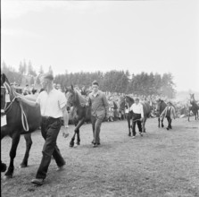 56th MarchéConcours Saignelégier, demonstration, 1959