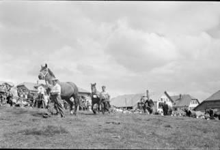 61st Marché Concours Saignelégier, 1964