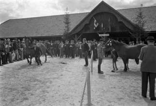 61st Marché Concours Saignelégier, 1964