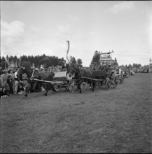 53rd MarchéConcours Saignelégier, chariot race, 1956