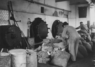 May beetles are processed into fodder flour in the roasting plant, 1942