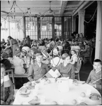 Children from England on holiday in Switzerland, 1946