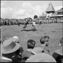 53rd MarchéConcours Saignelégier, demonstration, 1956