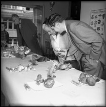 Mushroom exhibition in the Congress Center, 1952