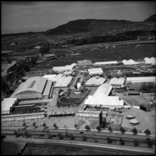 HOSPES 1954