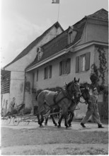 WWII: Swiss farmer on the French border, Basel 1945