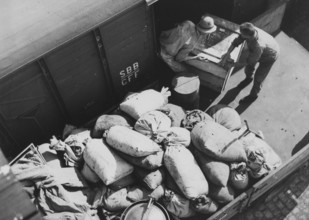 May beetle transport with SBB freight train, 1942