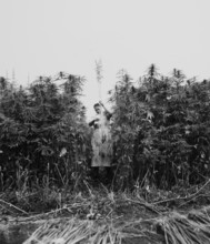 Farmer's wife harvesting hemp in 1942
