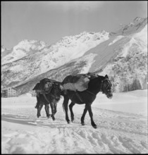 Yenish women living on camping site near Geneva, 1945